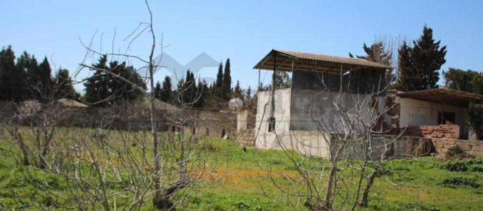 Satılır torpaq 40 sot, Albalılıq q. - 3