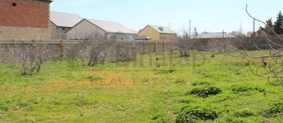 Satılır torpaq 40 sot, Albalılıq q. - 4