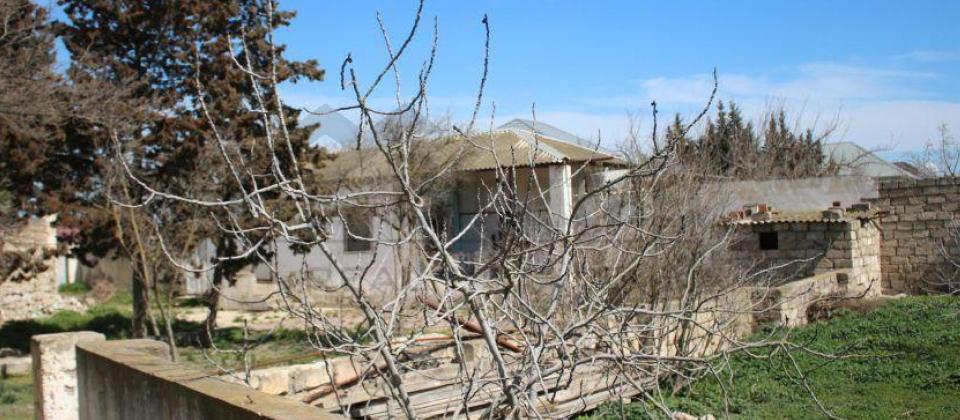 Satılır torpaq 40 sot, Albalılıq q. - 5