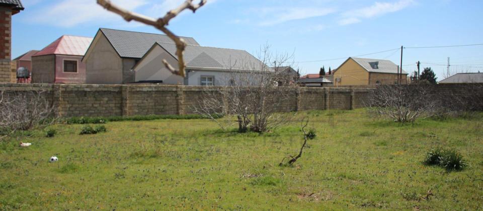 Satılır torpaq 40 sot, Albalılıq q. - 7