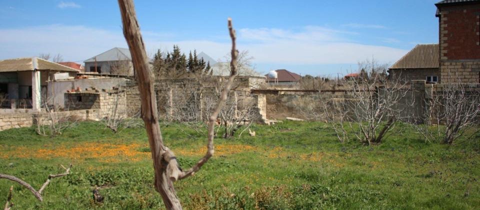 Satılır torpaq 40 sot, Albalılıq q. - 8