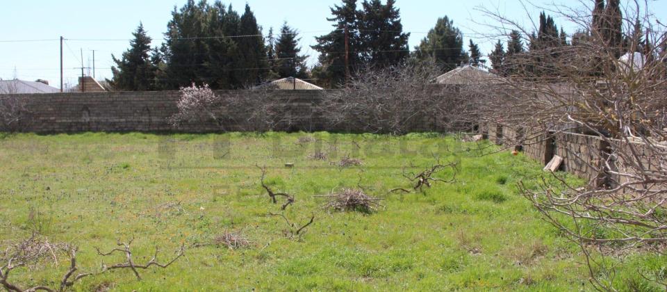 Satılır torpaq 40 sot, Albalılıq q. - 11