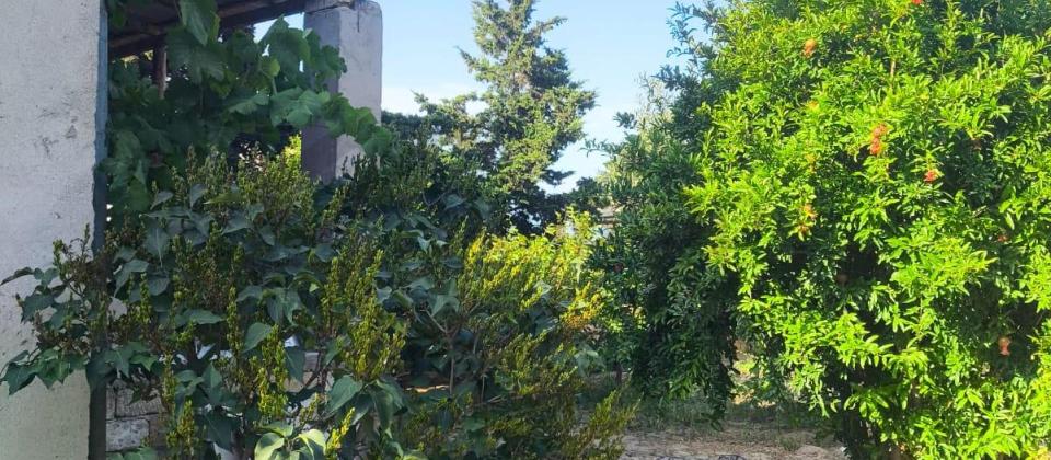 Satılır 4 otaqlı həyət evi/bağ evi 144 m², Görədil q. - 12