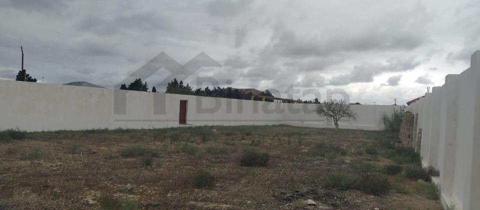 Satılır 12 Sot Torpaq – Qala Qəsəbəsi - 7