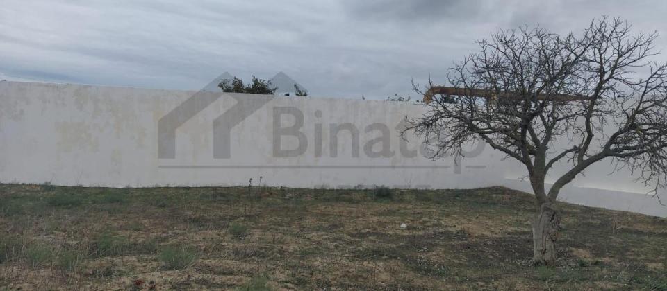 Satılır 12 Sot Torpaq – Qala Qəsəbəsi - 10