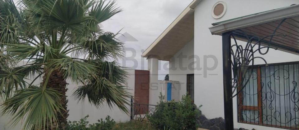 Satılır 12 Sot Torpaq – Qala Qəsəbəsi - 15