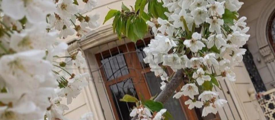 İcarəyə verilir 10 otaqlı həyət evi/bağ evi 360 m², Yeni Ramana q.