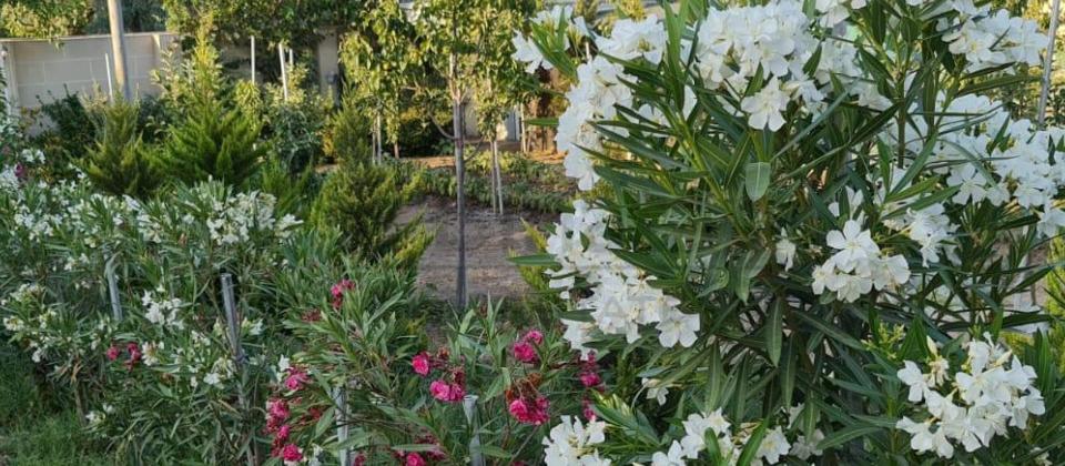 Satılır 6 otaqlı həyət evi/bağ evi 250 m², Novxanı q. - 13