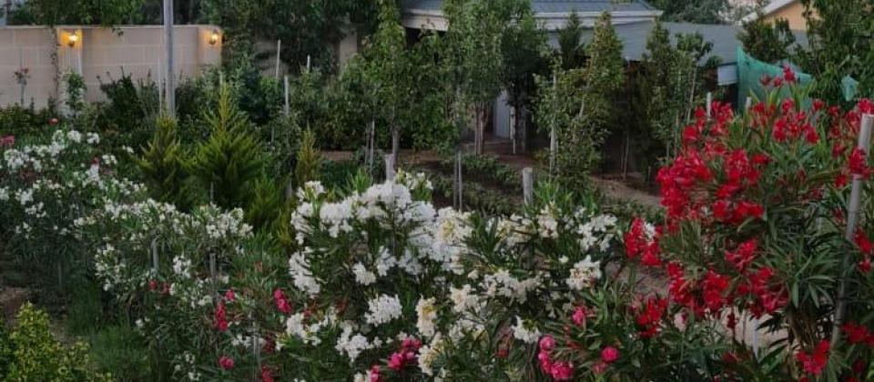 Satılır 6 otaqlı həyət evi/bağ evi 250 m², Novxanı q. - 15