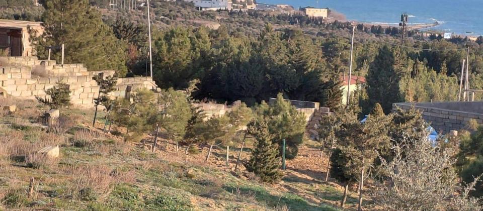 Satılır torpaq 12 sot, Şıxov q. - 6