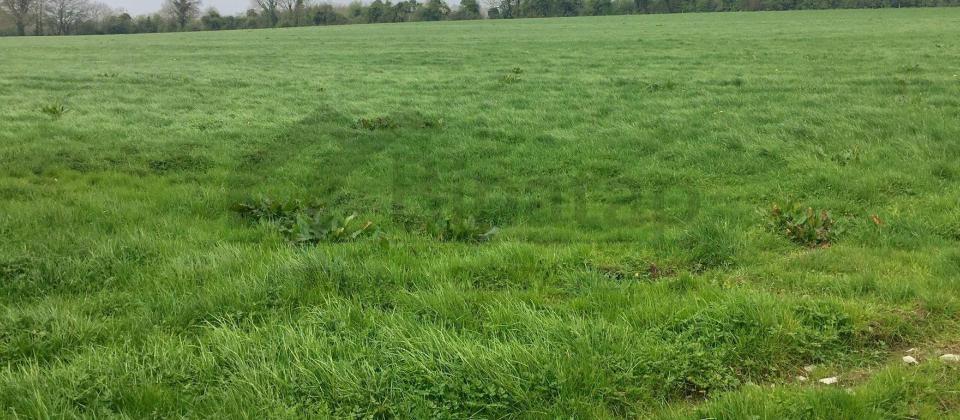 Satılır torpaq 100 sot, Suraxanı r. - 2