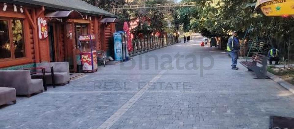 Azadliq prospekti, Koala ve Koroglu parklarinin yaninda 4 otaqli menzil satilir/223 kv.m. - 9