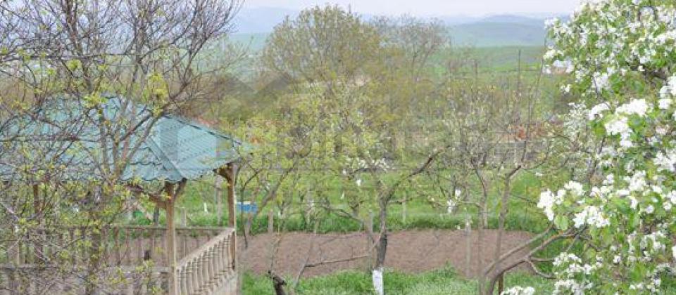 Şamaxı rayonunun Mədrəsə qəsəbəsində 37 sotluq bağ evi satılır! - 4