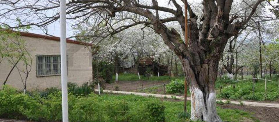 Şamaxı rayonunun Mədrəsə qəsəbəsində 37 sotluq bağ evi satılır! - 8