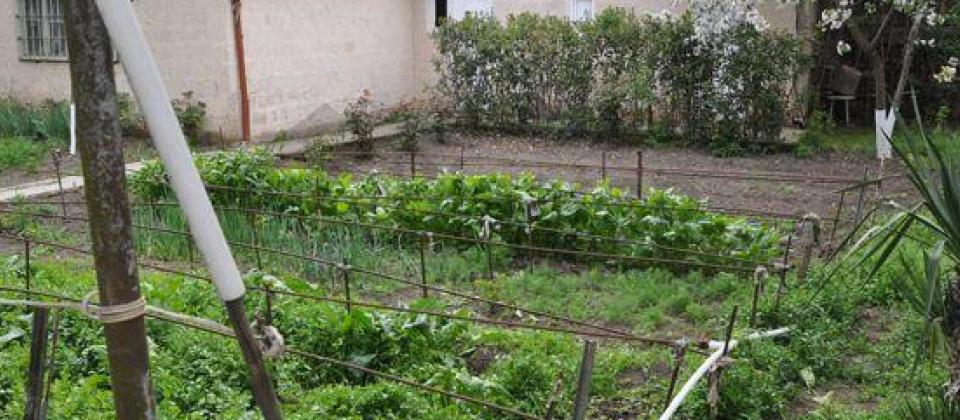 Şamaxı rayonunun Mədrəsə qəsəbəsində 37 sotluq bağ evi satılır! - 11