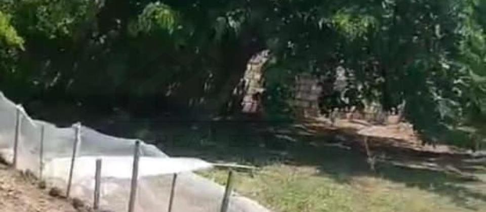 Novxanıda kupçalı torpaq satilir - 2