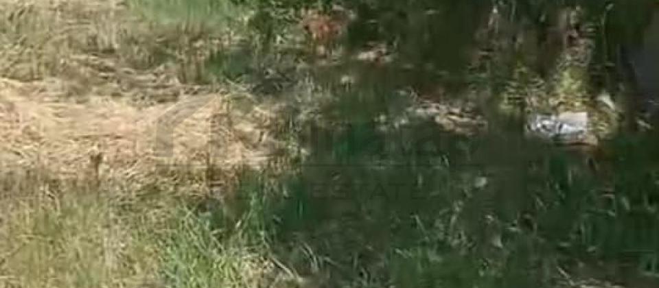 Novxanıda kupçalı torpaq satilir - 3