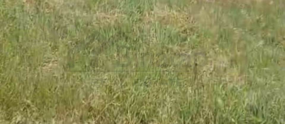 Novxanıda kupçalı torpaq satilir - 4