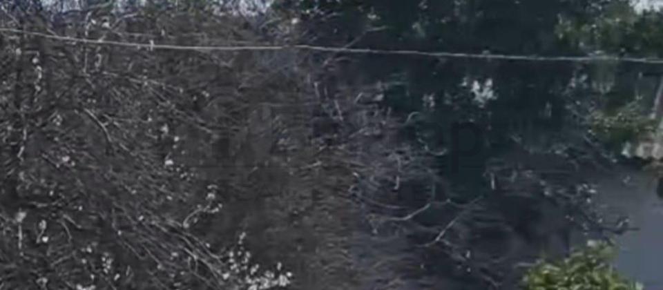 8noyabr pr 11 sot torpaq satilir - 5