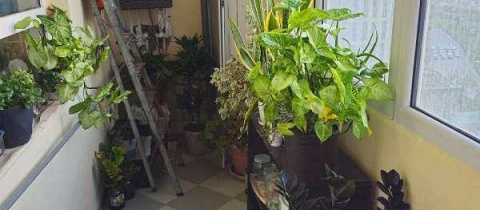 Merkezi parkin yani, Nizami m/s yaxin 3 otaqli menzil satilir/130 kv.m. - 11