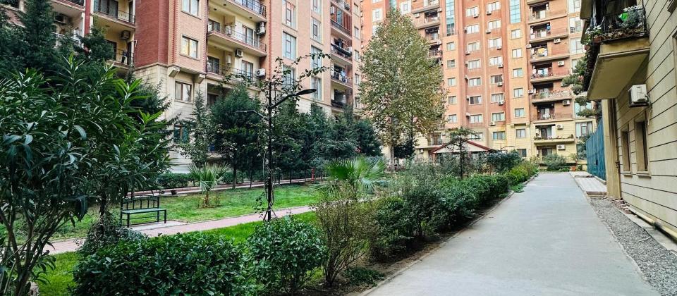 Ev, ofis, qeyriyasayisa yararli - 2