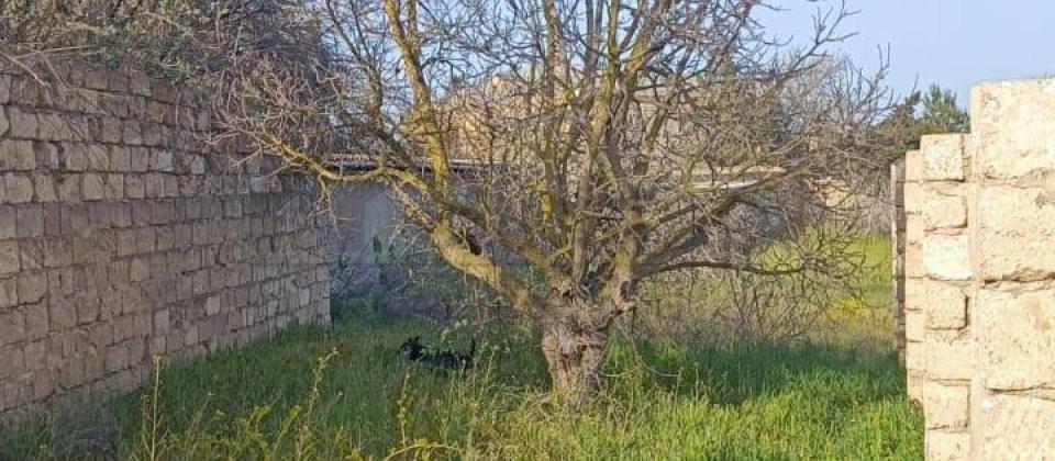 Satılır torpaq 7 sot, Qala q. - 2