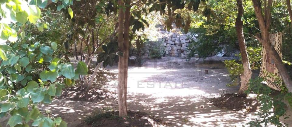 Satılır 3 otaqlı həyət evi/bağ evi 54 m², Bakıxanov q. - 14