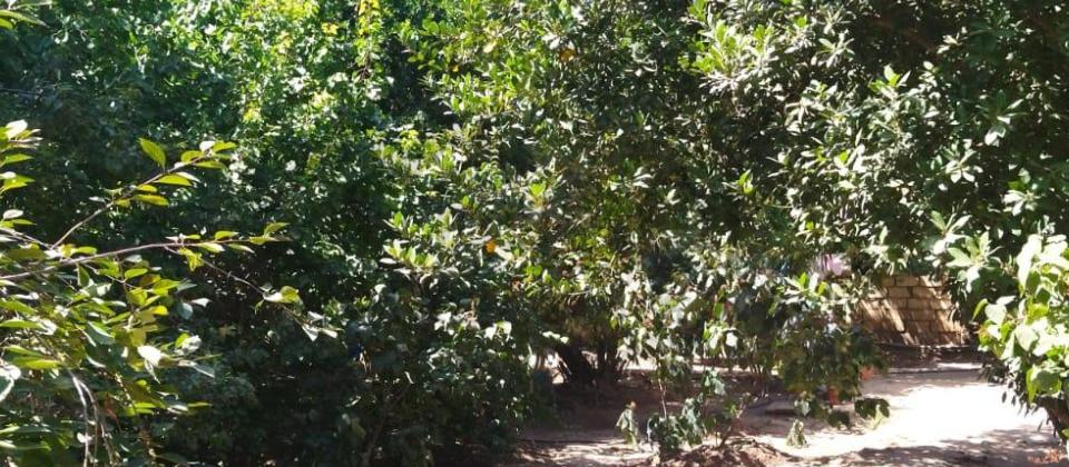 Satılır 3 otaqlı həyət evi/bağ evi 54 m², Bakıxanov q. - 15