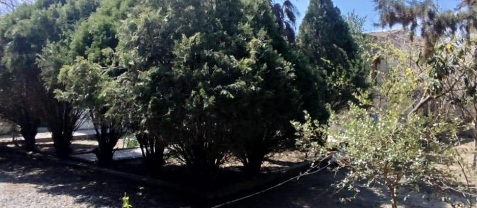 Satılır 4 otaqlı həyət evi/bağ evi 89 m², Maştağa q. - 12