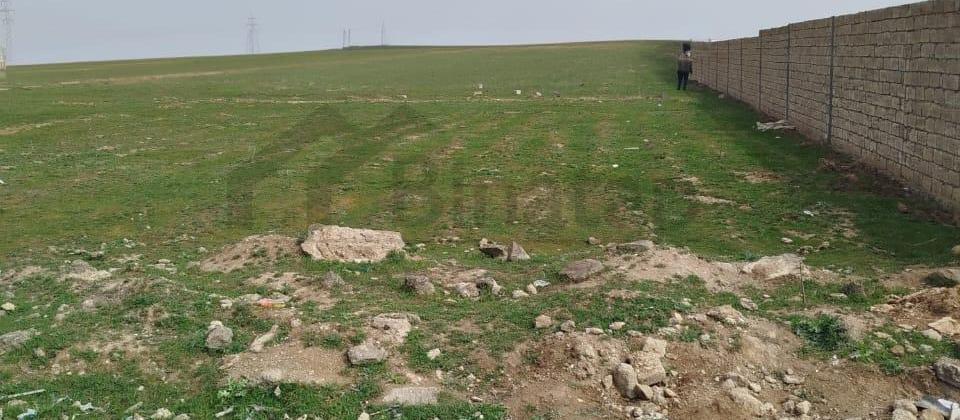 Aeraport yolunda 50 sot torpaq sahesi satilir - 3