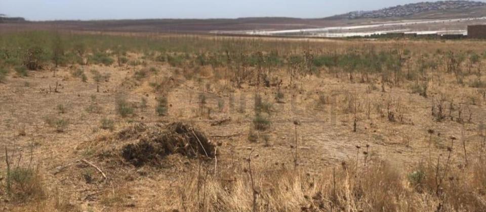 novxanida 56 sot torpaq sahesi satilir - 2