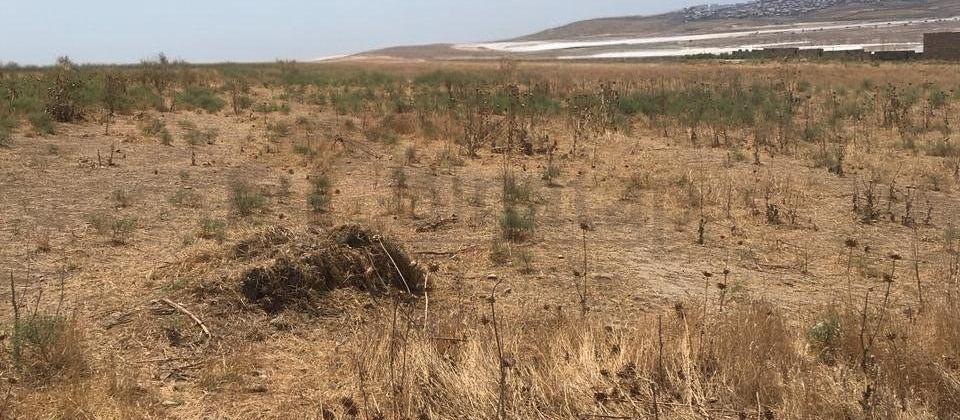 novxanida 56 sot torpaq sahesi satilir - 5