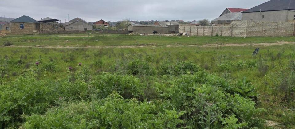 mehdiabadda 13 sot torpaq satilir 40.000manata