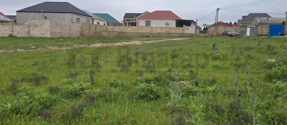 mehdiabadda 13 sot torpaq satilir 40.000manata - 5