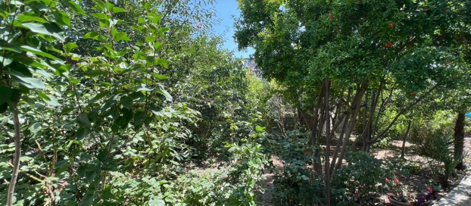 Satılır 4 otaqlı həyət evi/bağ evi 140 m², Mərdəkan q. - 12