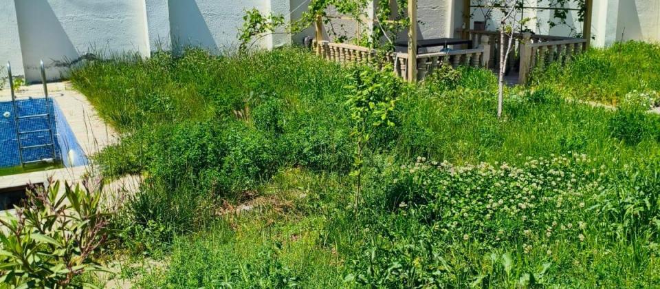 Bilgəh də 6 Sot da Bağ Evi Satılır