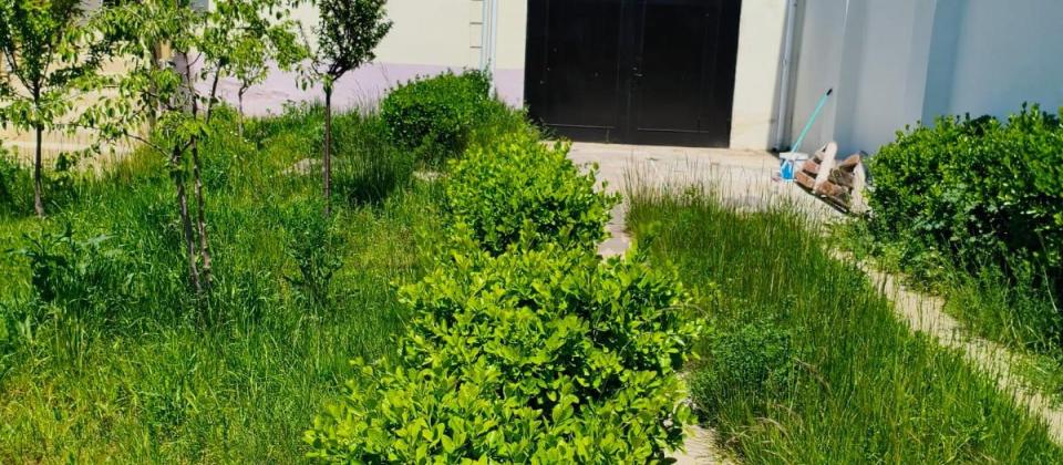 Bilgəh də 6 Sot da Bağ Evi Satılır - 2