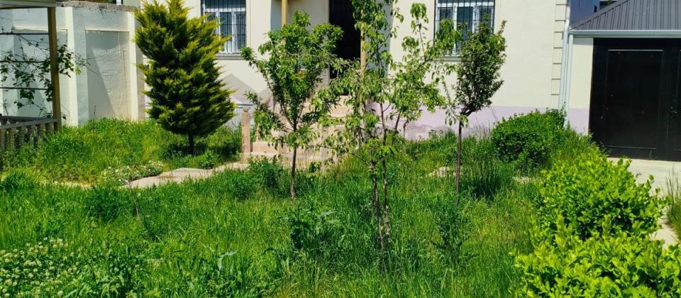 Bilgəh də 6 Sot da Bağ Evi Satılır - 3