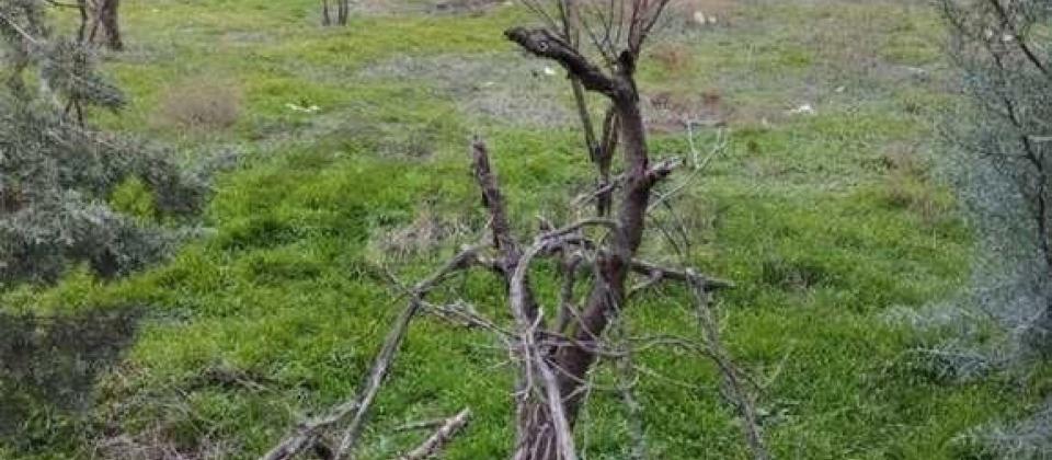 Satılır 8 otaqlı həyət evi/bağ evi 300 m², Badamdar q. - 4
