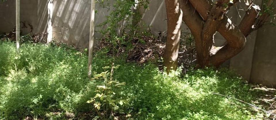 8ci mik 3 mertebeli 12 otaqli villa icareye verilir - 6