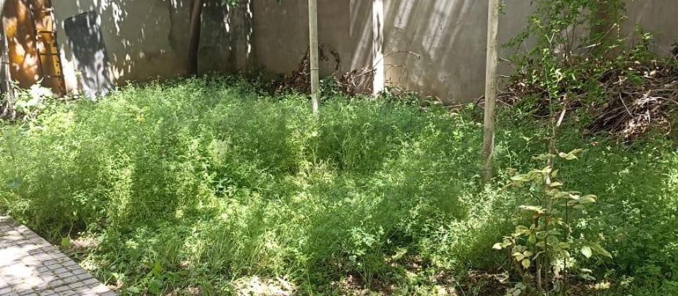 8ci mik 3 mertebeli 12 otaqli villa icareye verilir - 12