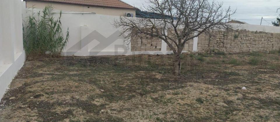 Satılır torpaq 12 sot Qala Qəsəbəsi - 9