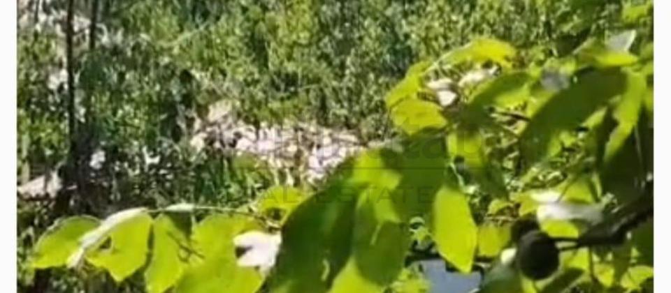Ismayillinin Buynuz kendinde 4 otaqli heyet evi satilir - 13