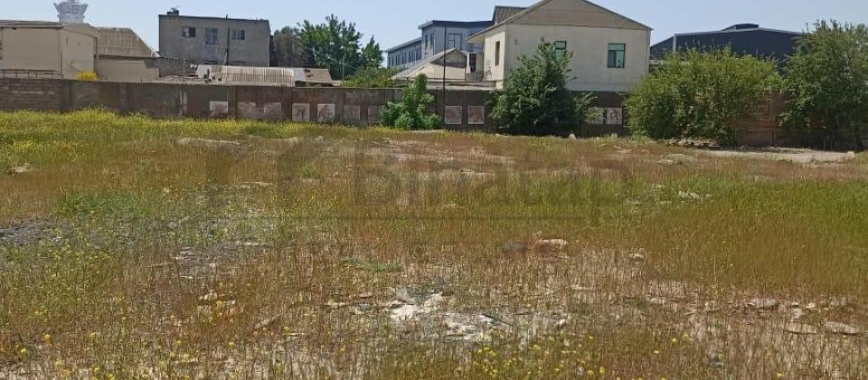 Boyukshor golunun yaxinliqinda 40 sot icareye verilir - 5