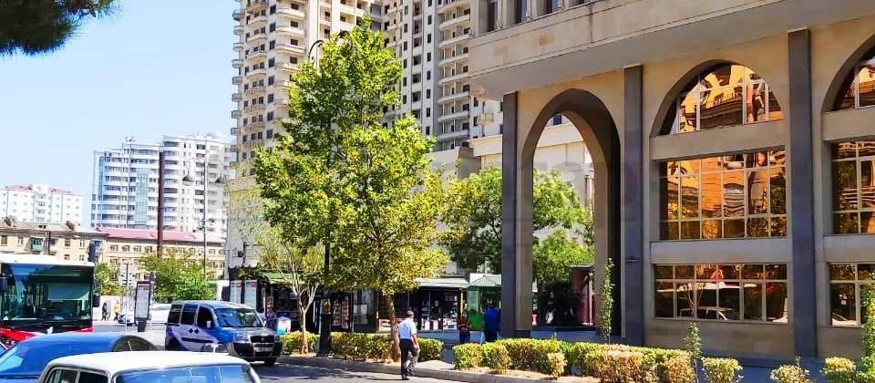 Kirayə verilir 1 otaqlı kohnə tikili, Elmler m - 3
