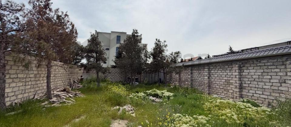 ŞAĞAN 3 SOT