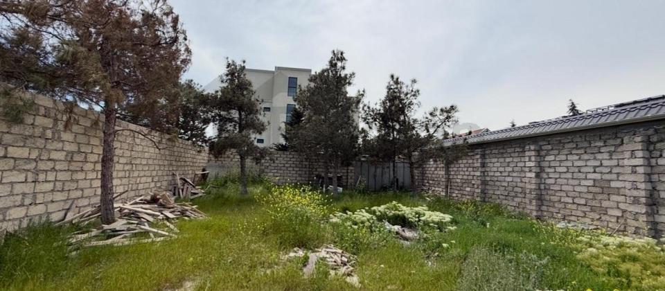 ŞAĞAN 3 SOT - 2