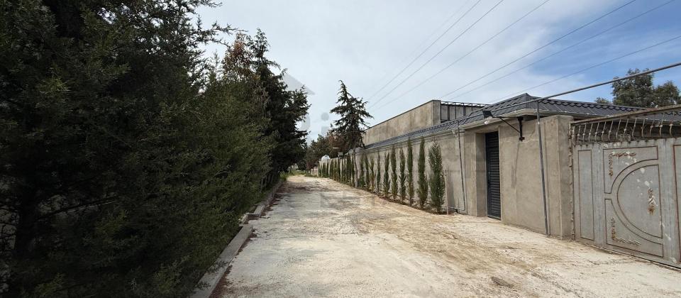 ŞAĞAN 3 SOT - 4