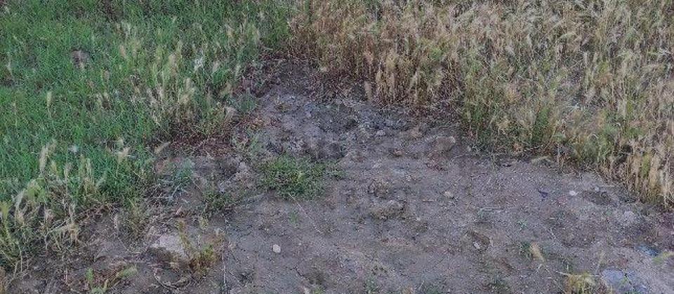 Mehtiabadda 5 sot torpaq sahəsi satılır