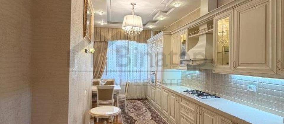 Satilir 6 otaqli menzil/233 kv.m., 28 Mall ve 28 May m/s yaninda yerlesir - 9